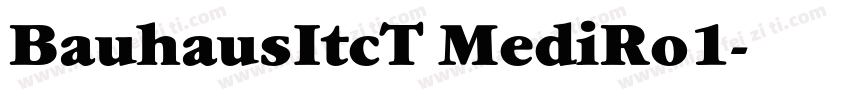 BauhausItcT MediRo1字体转换